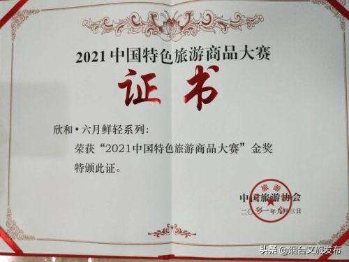 第三屆山東省文化和旅游商品創新設計大賽煙臺獲佳績 1金2銀2銅閃耀賽場，助推文化藝術交流創新